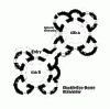 EcDmPlan2Cluster.gif