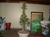 DSC01613.jpg