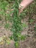 DSC01792.JPG