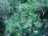 DSC01795.JPG
