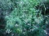 DSC01796.JPG