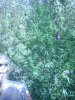 DSC01801.JPG