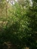 DSC01810.JPG
