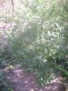DSC01811.JPG