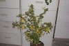 DSC00124.jpg
