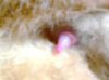 upload_2014-11-28_6-23-35.jpeg