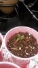 20141128_132029.jpg