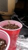 20141128_132021.jpg