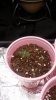 20141128_131940.jpg