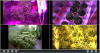 CamShot Update 2014-11-30.png CamShot Update 2014-11-30.png