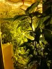 PhotoEditor360_1417583576260.jpg