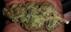handbcbud.jpg handbcbud.jpg