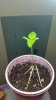 20141125_073026.jpg