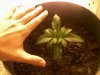 Photo-0266.jpg