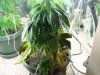 The Babies! 166.jpg
