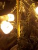 100_2068.jpg