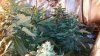 20141213_210016.jpg