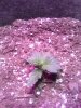 IMG_20141224_044556_842.jpg