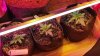 20141225_170108.jpg