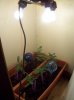 100_0146.jpg