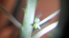 20141230_101116.jpg