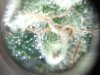 CAM00048.jpg