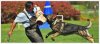 images1DTN4JIS.jpg