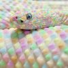 gay snake.jpg