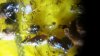 20150110_152730.jpg