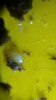 20150110_152412.jpg