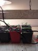 CAM00054.jpg