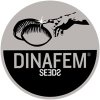 dinafem-logo-web.jpg
