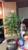 20150112_230239.jpg