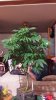 20150112_230249.jpg