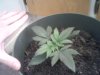 Photo-0276.jpg