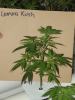 upload_2015-1-14_20-12-26.png