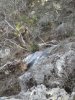 CAM00067.jpg