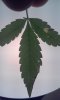 20150115_201420.jpg