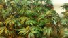 20150117_175021.jpg