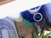 IMG_20150107_163640.jpg