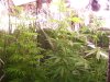 100_1802.JPG