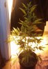 20150123_101458.jpg