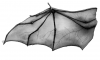 upload_2015-1-25_1-55-47.png upload_2015-1-25_1-55-47.png