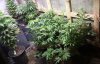 20150125_154717.jpg