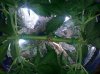 20150126_114820.jpg
