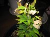 IMG_0634.jpg IMG_0634.jpg