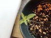 DSCF1143.JPG