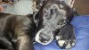 20150127_145302.jpg