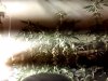 Snapshot_20150130_4.JPG
