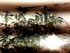 Snapshot_20150130_2.JPG